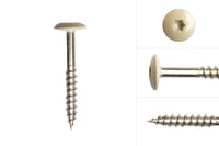 kleurkopschroeven_beige_rvs_48_x_38_mm_doos_100_stuks