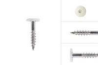kleurkopschroeven_wit_rvs_48_x_25_mm