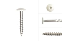 kleurkopschroeven_wit_rvs_48_x_32_mm_doos_100_stuks