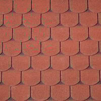 40x9981_p01_1920x1920