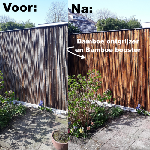 Behandlung und Pflege von Bambus