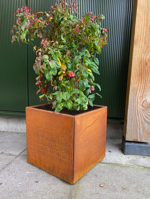 cortenstaal_vierkante_plantenbak_nandina_fire_power