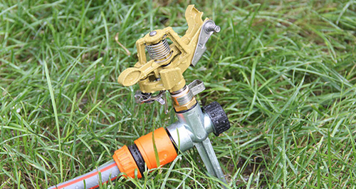 WV004880_4